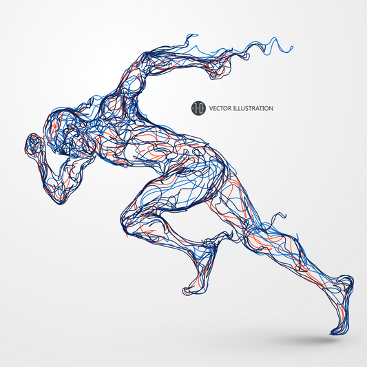 SPRINTER 2